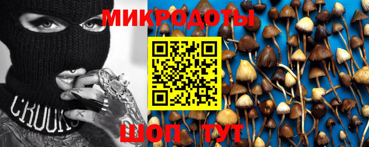 Галлюциногенные грибы GOLDEN TEACHER  Вход с VPN  Александров 