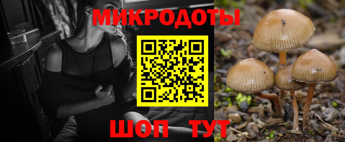 Галлюциногенные грибы Cubensis Александров